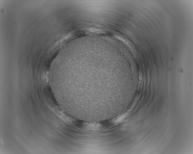 X0000088020621200705251053