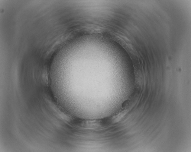 X0000088020622200705251053