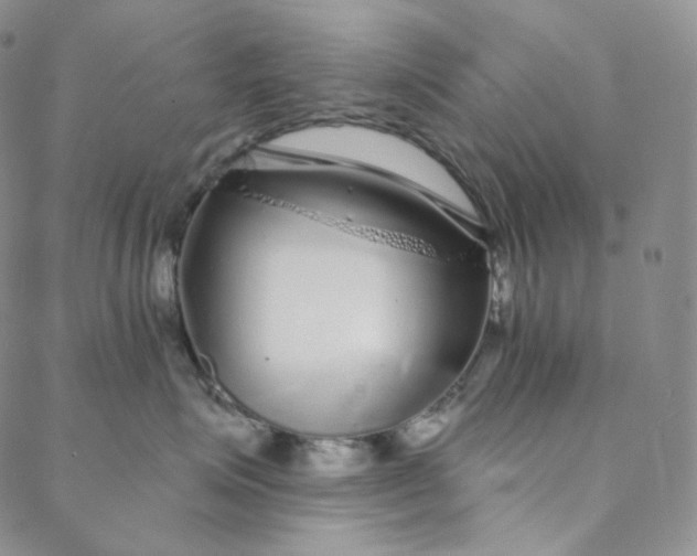 X0000088020623200705251053