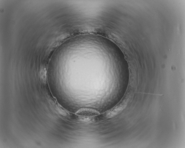 X0000088020624200705251053