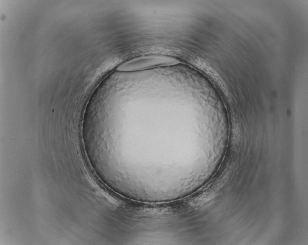 X0000088020625200705251052