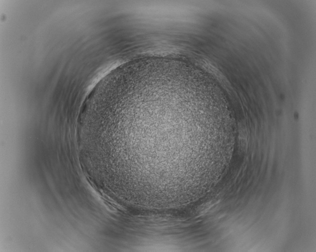 X0000088020626200705251052