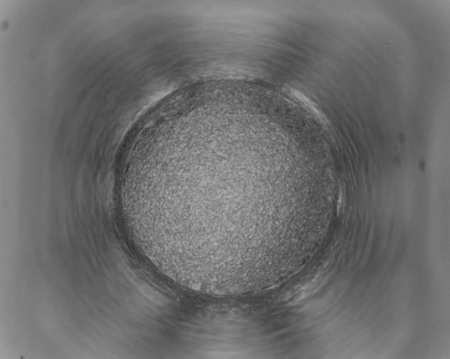 X0000088020627200705251052