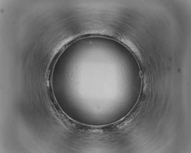 X0000088020628200705251052