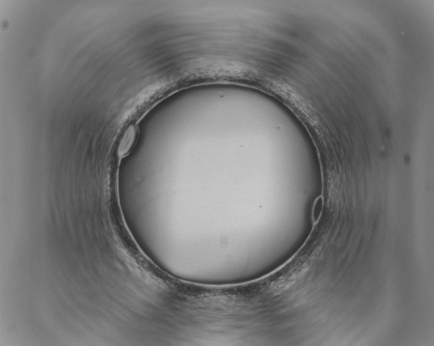 X0000088020629200705251052