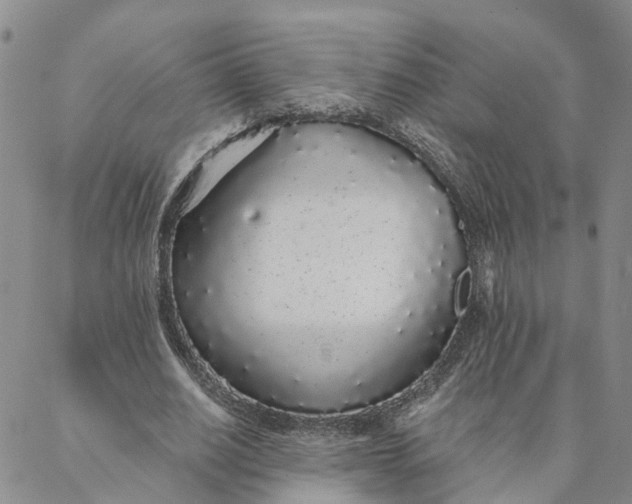 X0000088020630200705251052