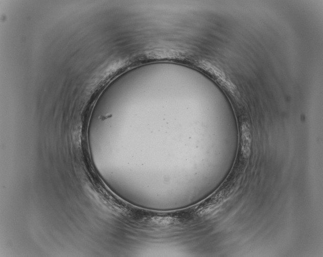 X0000088020631200705251052