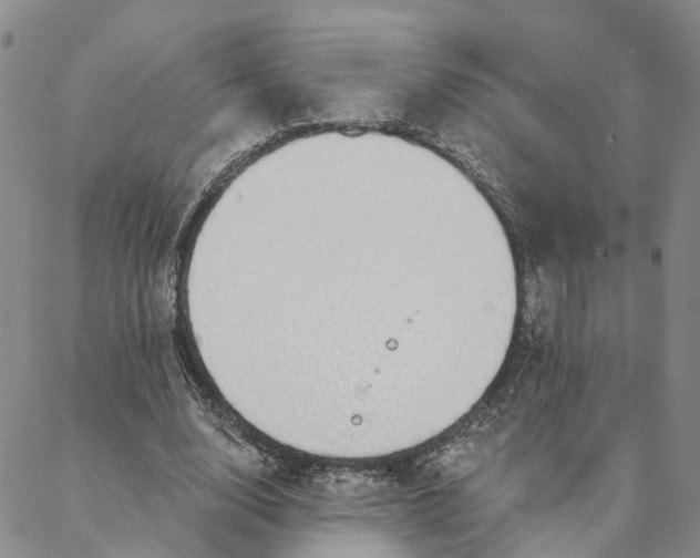 X0000088020632200705251052