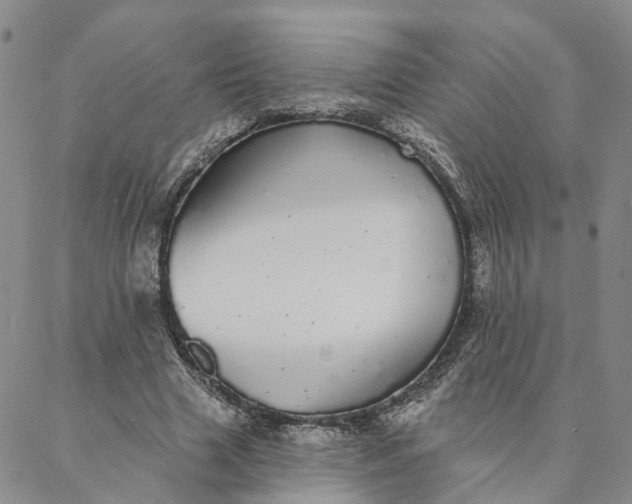 X0000088020633200705251052