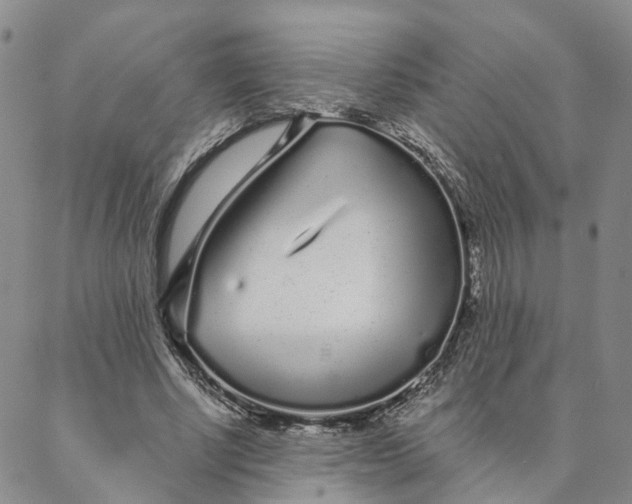 X0000088020634200705251052