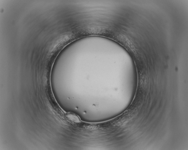 X0000088020635200705251052