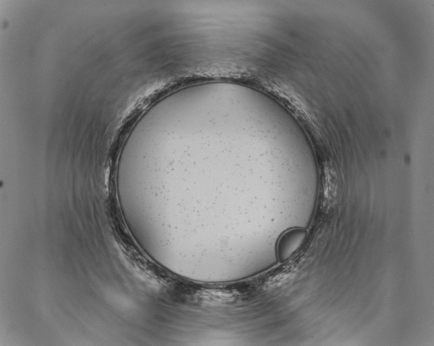 X0000088020636200705251052