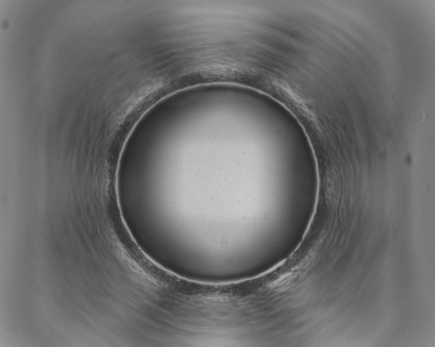 X0000088020637200705251052