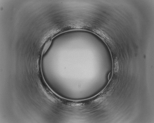 X0000088020638200705251052