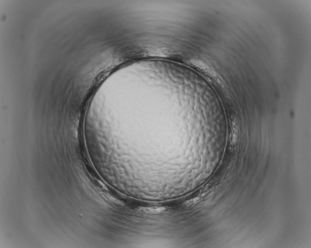 X0000088020639200705251052