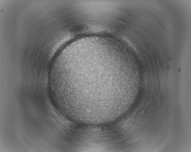 X0000088020640200705251052