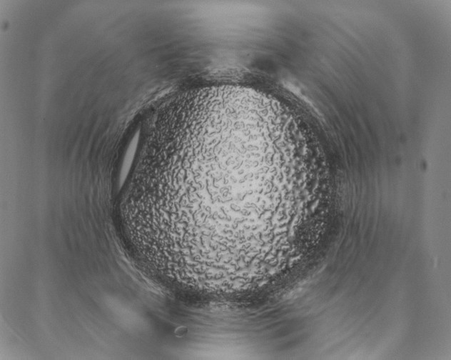 X0000088020641200705251052