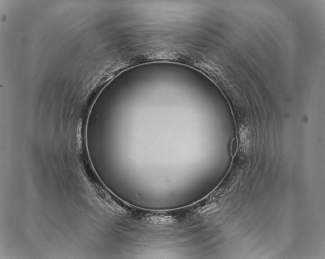 X0000088020642200705251052