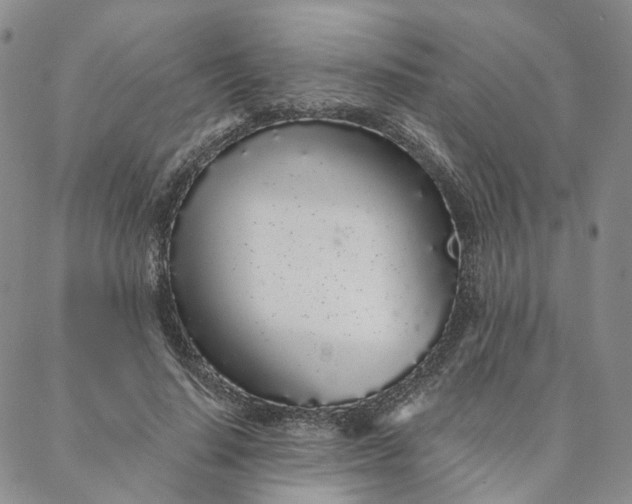 X0000088020644200705251053