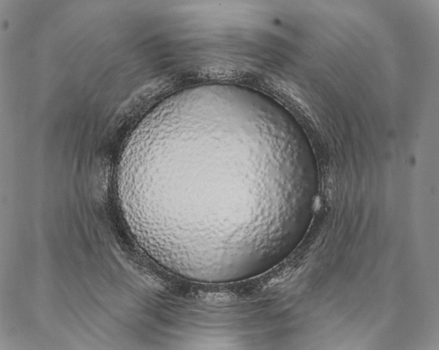 X0000088020645200705251053