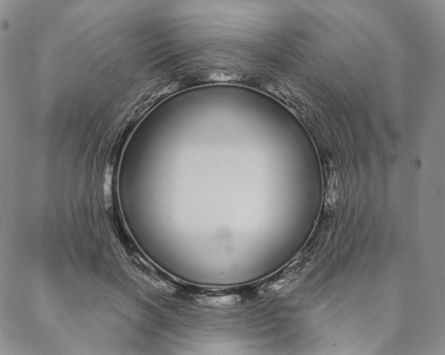 X0000088020646200705251053