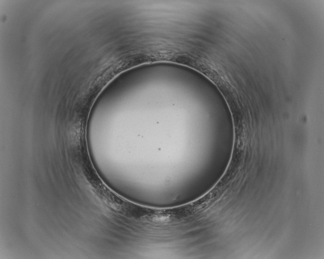 X0000088020647200705251053