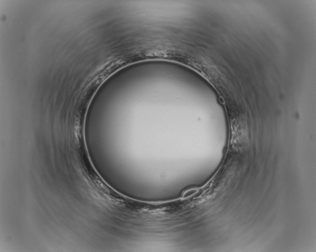 X0000088020648200705251053