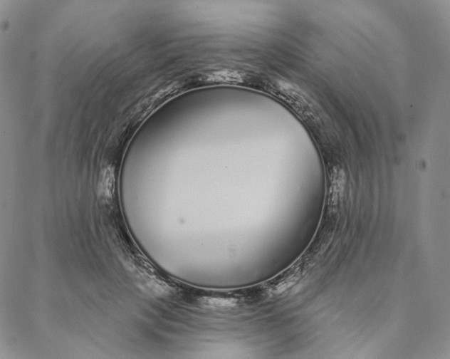 X0000088020649200705251053