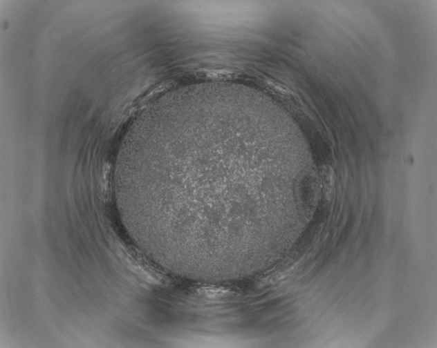 X0000088020650200705251053