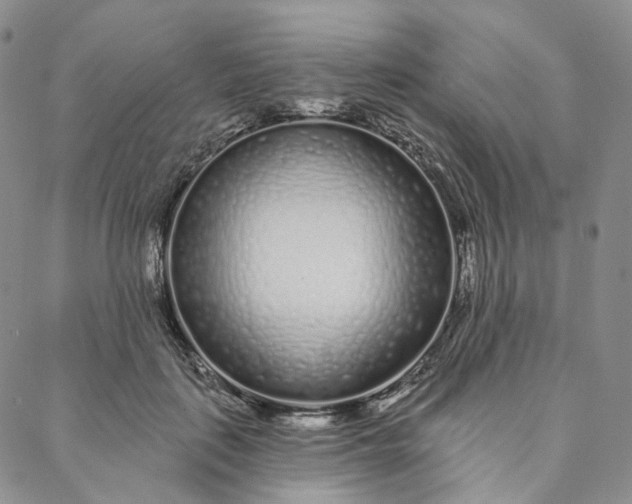 X0000088020651200705251053