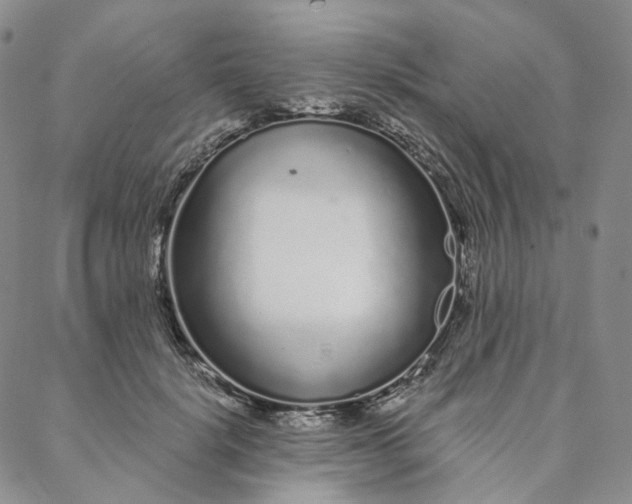 X0000088020652200705251053