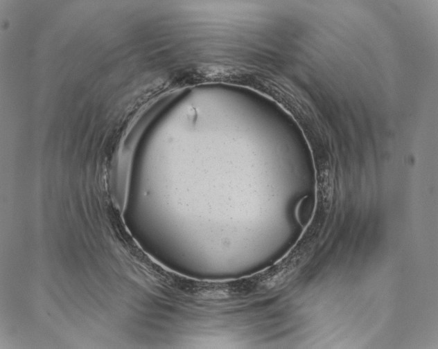 X0000088020653200705251053