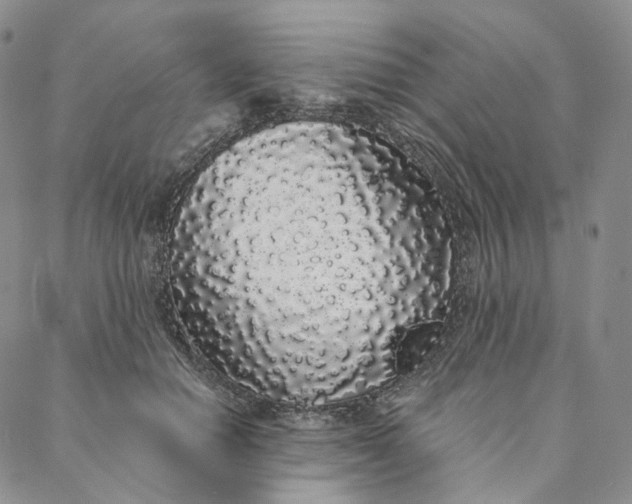 X0000088020654200705251053