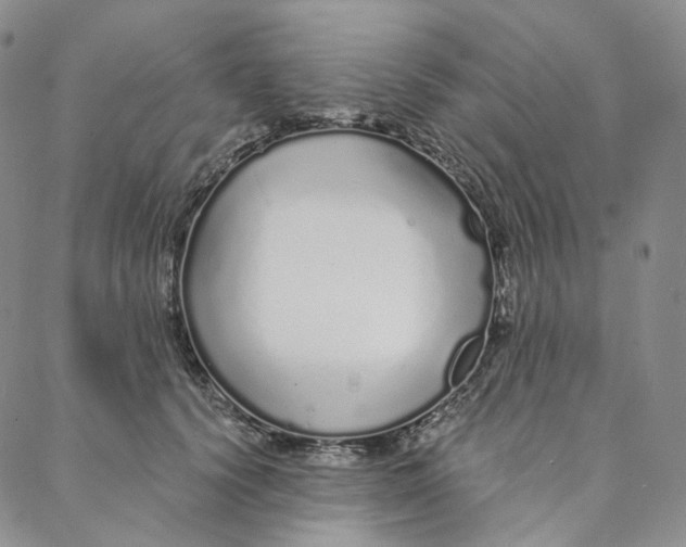 X0000088020656200705251053