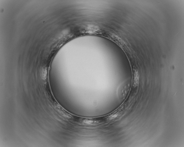 X0000088020657200705251053