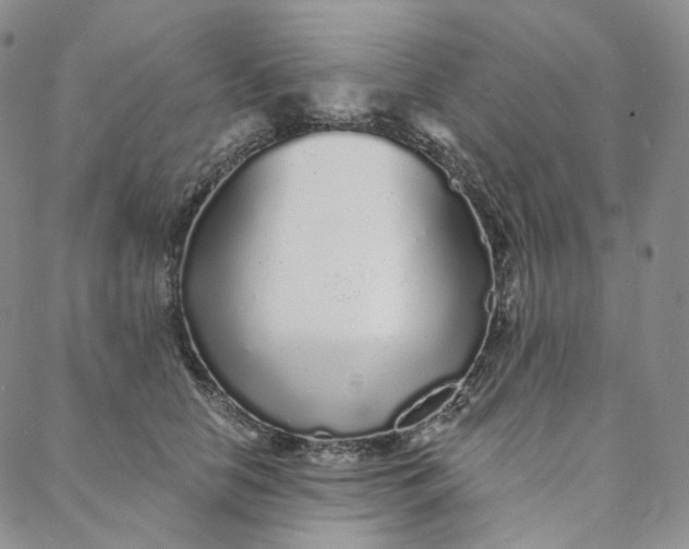 X0000088020658200705251053