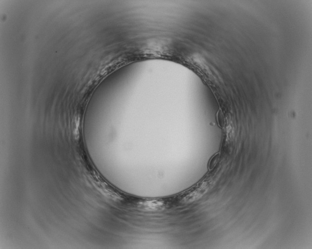 X0000088020660200705251053