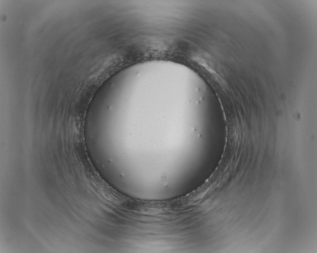 X0000088020661200705251053