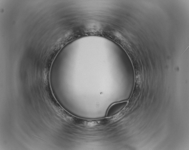 X0000088020662200705251053