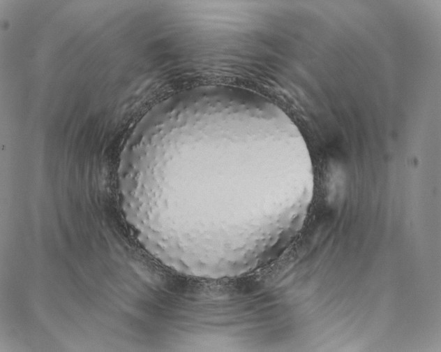 X0000088020663200705251053