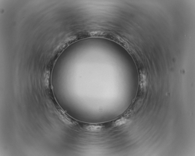 X0000088020664200705251053