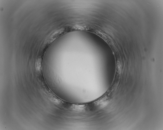 X0000088020665200705251053