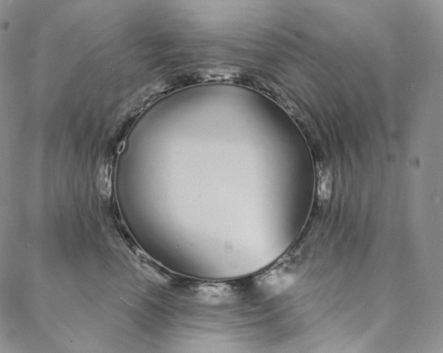 X0000088020666200705251053