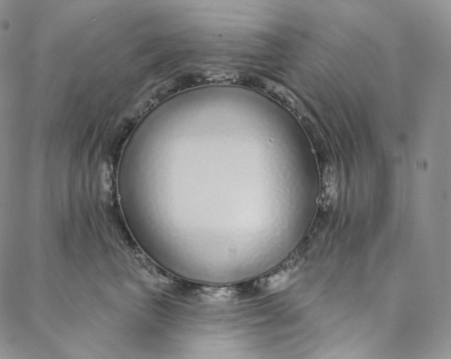 X0000088020667200705251053