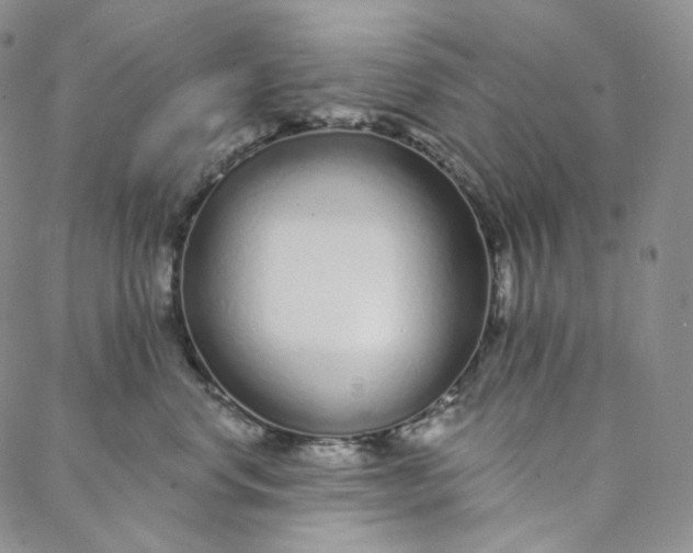 X0000088020668200705251053