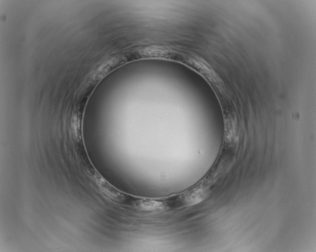 X0000088020669200705251053