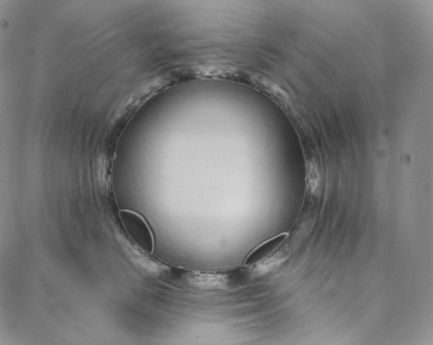 X0000088020670200705251053