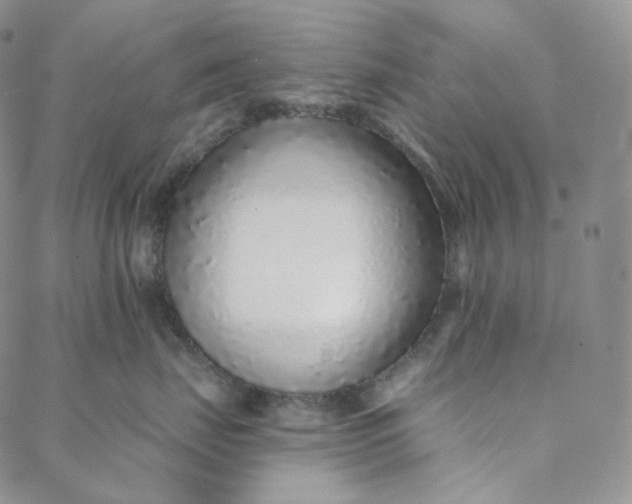 X0000088020671200705251053