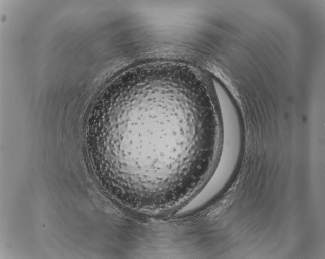 X0000088020673200705251052