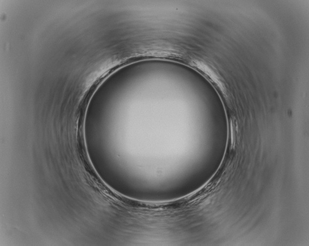 X0000088020675200705251052